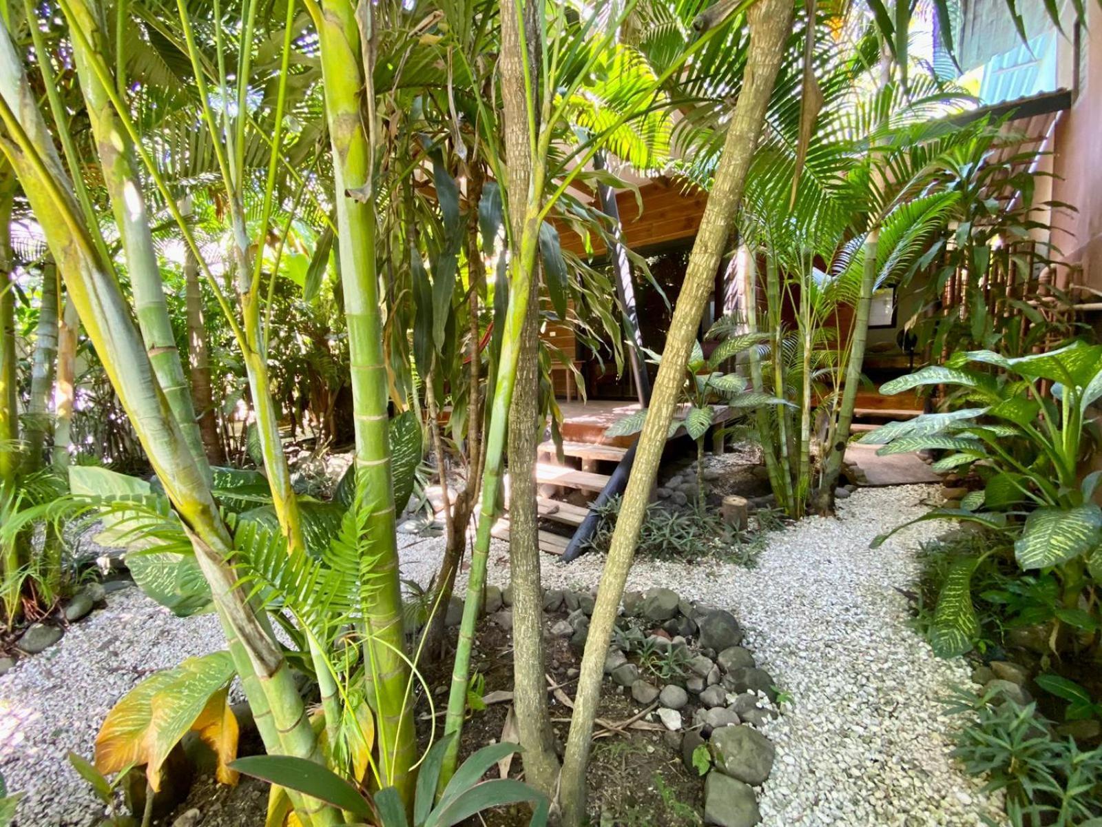 Santeria Lodge Playa Santa Teresa  Екстериор снимка