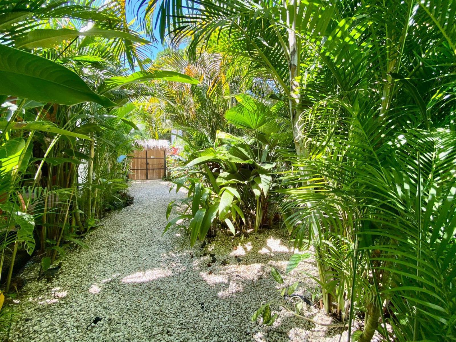Santeria Lodge Playa Santa Teresa  Екстериор снимка
