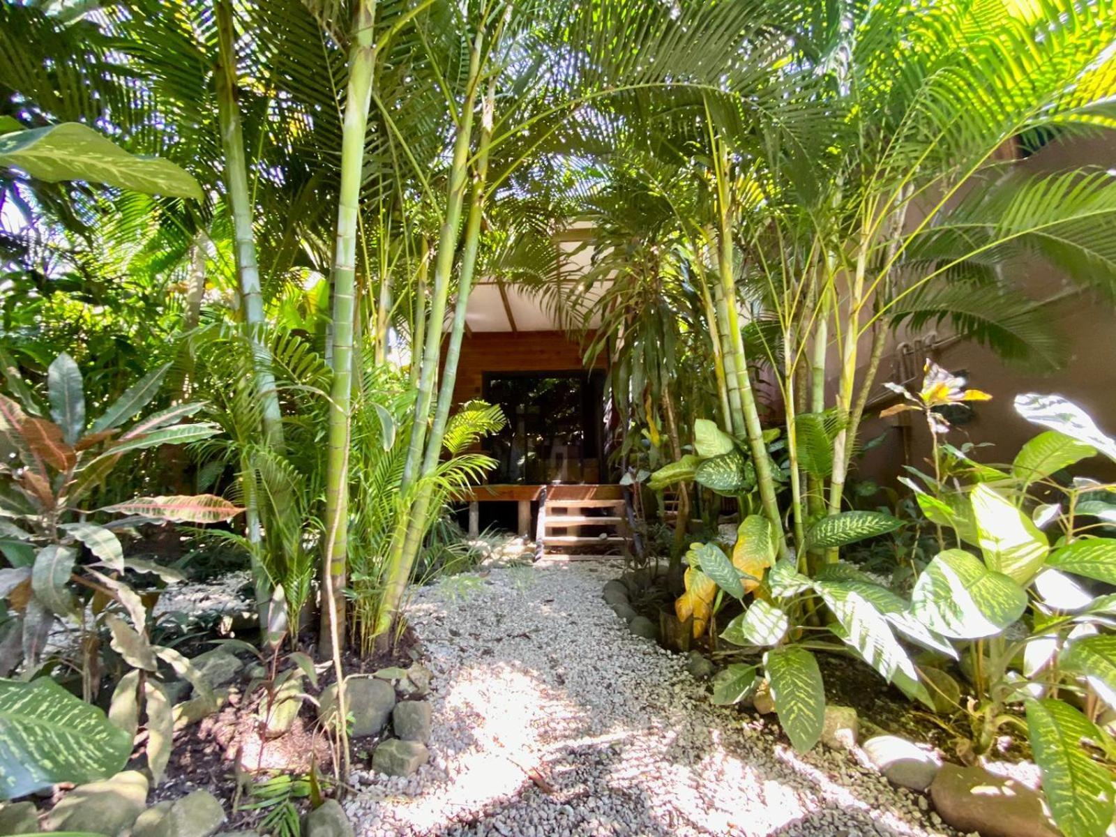 Santeria Lodge Playa Santa Teresa  Екстериор снимка