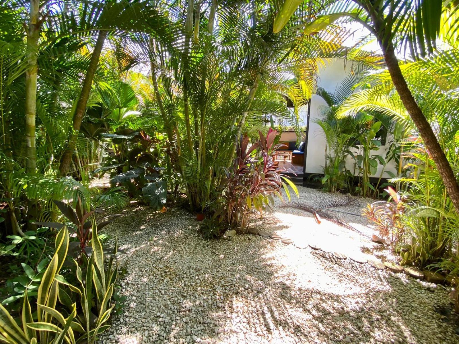 Santeria Lodge Playa Santa Teresa  Екстериор снимка