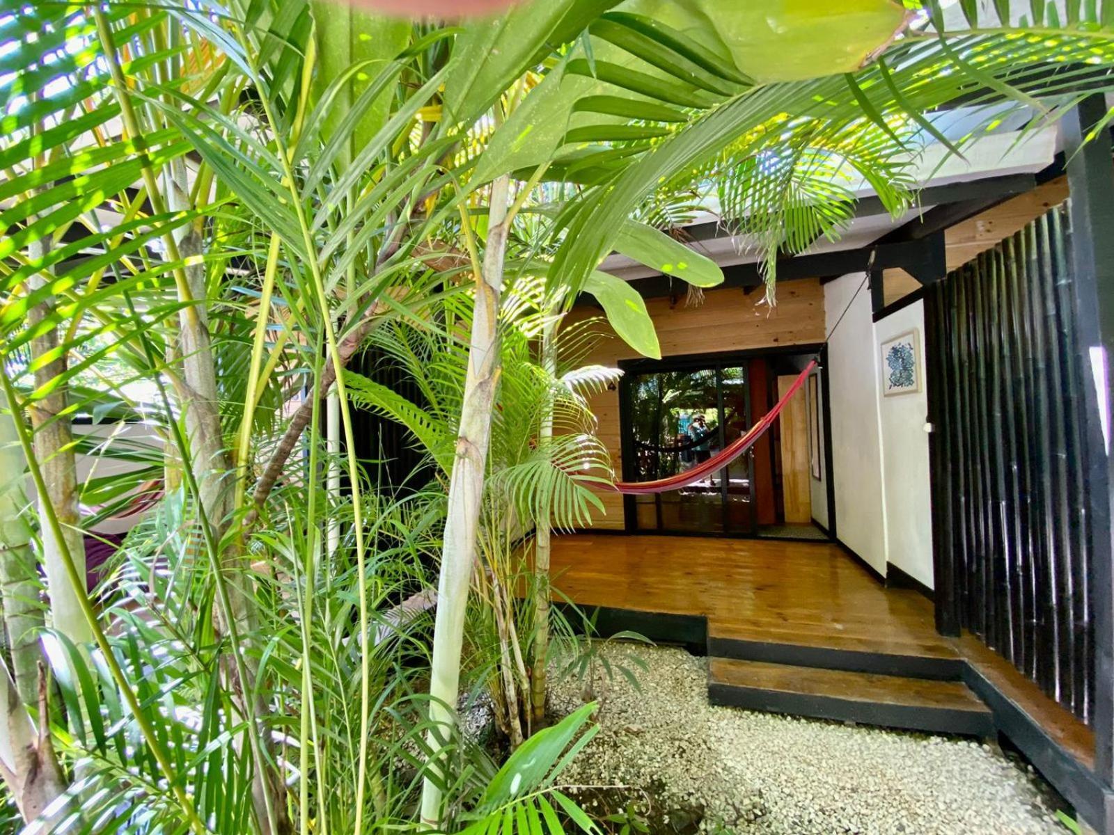 Santeria Lodge Playa Santa Teresa  Екстериор снимка