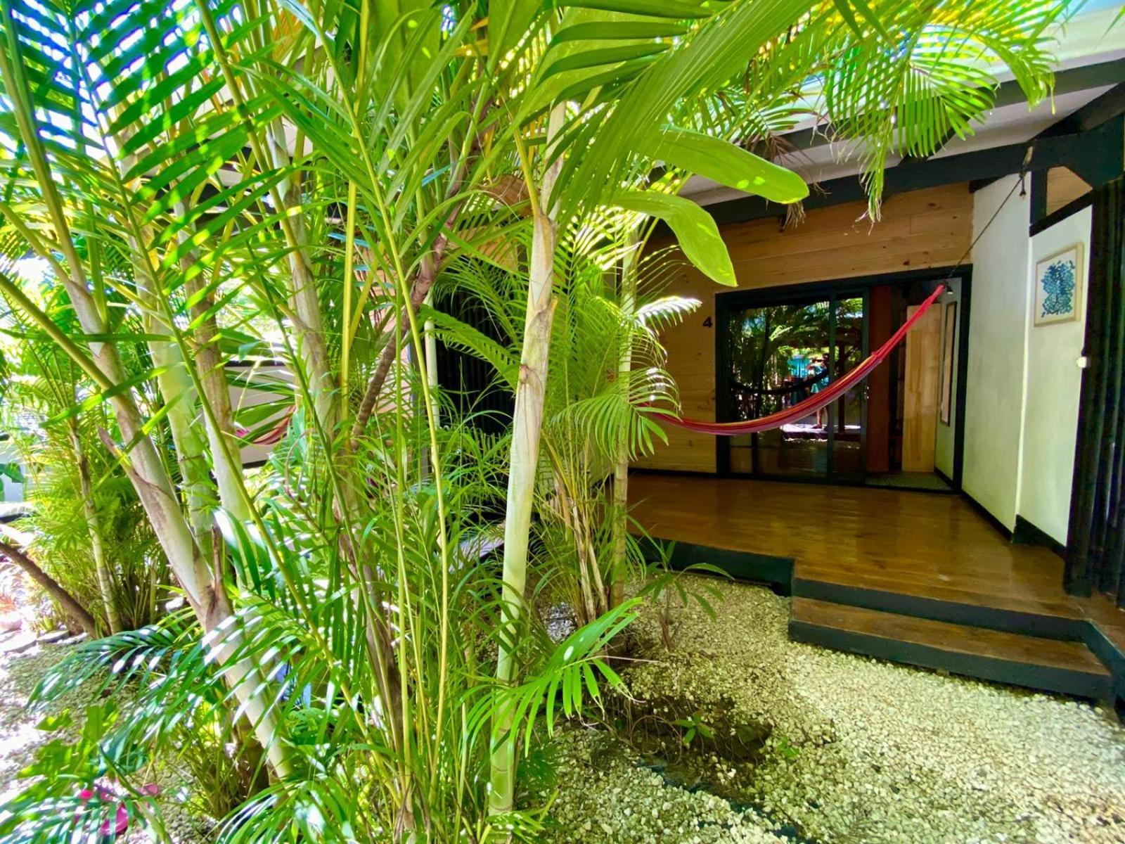 Santeria Lodge Playa Santa Teresa  Екстериор снимка