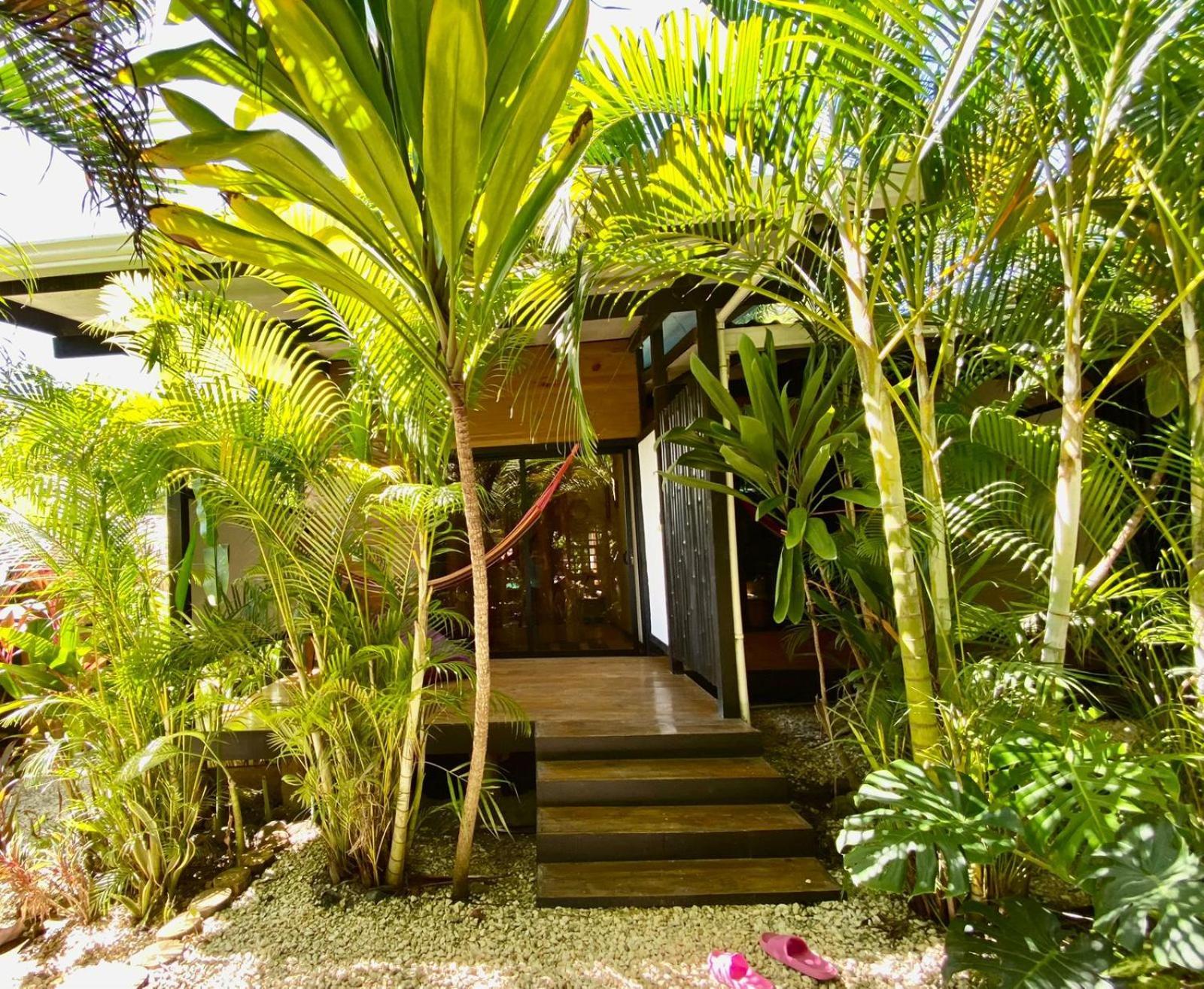 Santeria Lodge Playa Santa Teresa  Екстериор снимка