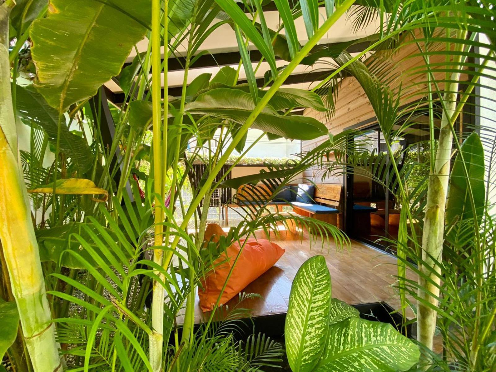 Santeria Lodge Playa Santa Teresa  Екстериор снимка