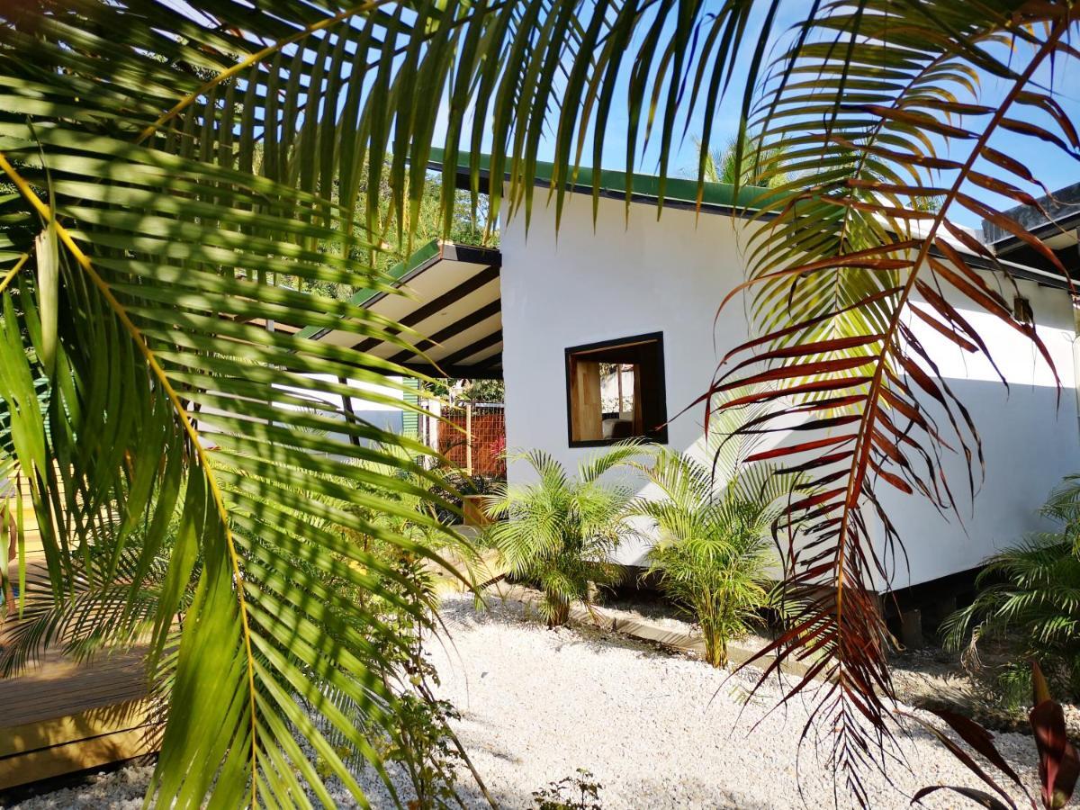 Santeria Lodge Playa Santa Teresa  Екстериор снимка